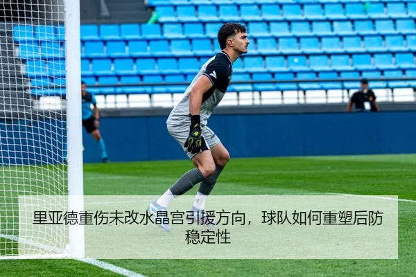 里亚德重伤未改水晶宫引援方向，球队如何重塑后防稳定性